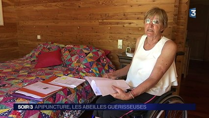 L'apipuncture, guérir grâce au venin des abeilles