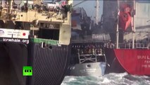 Sea Shepherd Sandwich: Anti-whaling activists rammed by Japanese ships