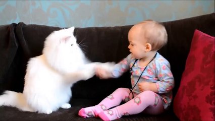 WHEN CATS & BABIES COLLIDE