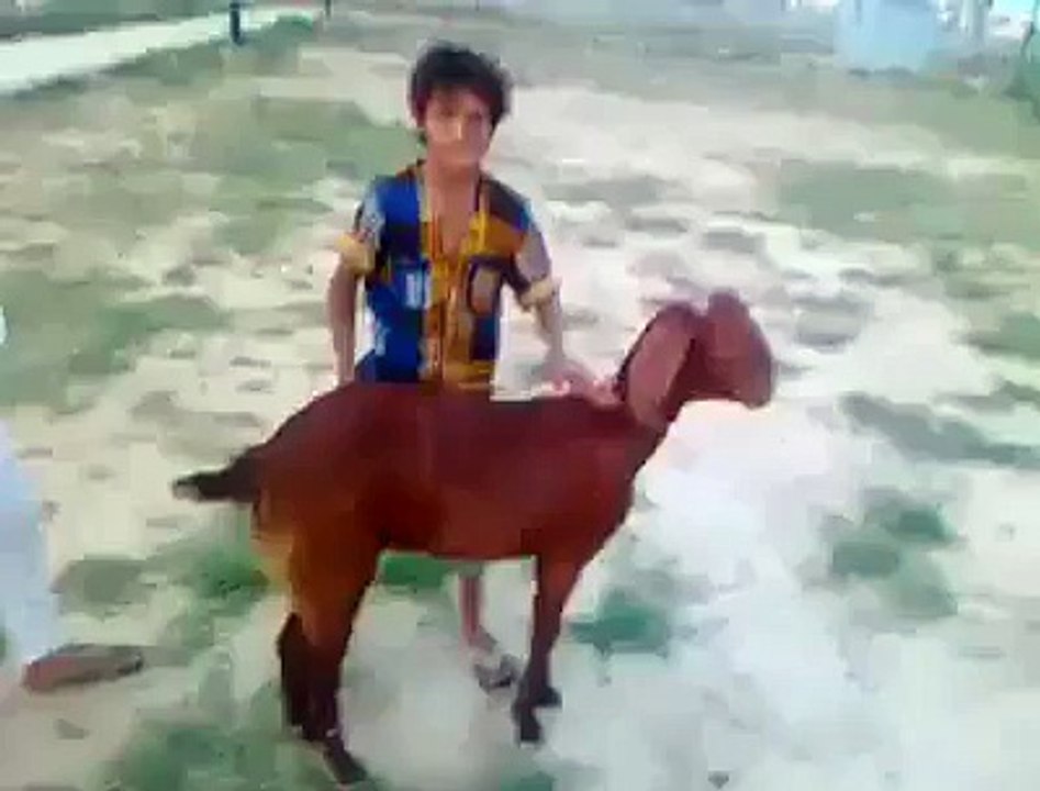 kalol ho gyee