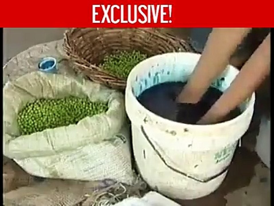 reality of green matar