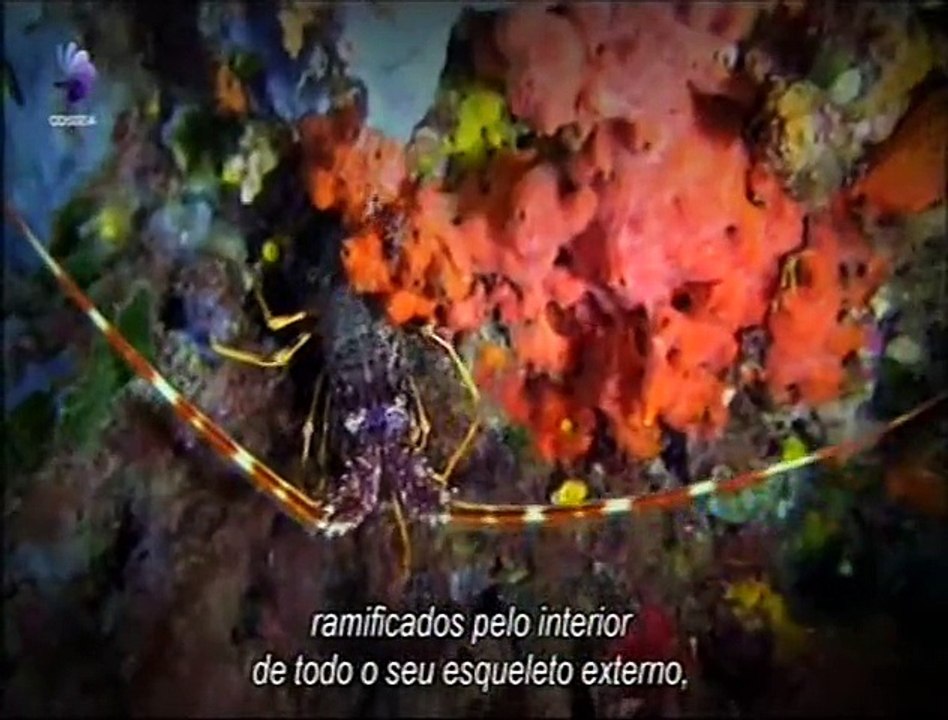 Mare Nostrum Episódio 2