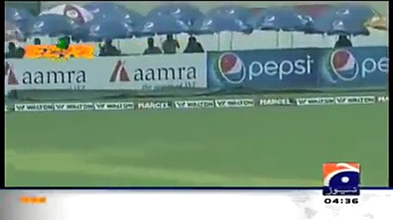 Punjabi Totay