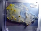 Trans-Canada Slimeways: Slime mould imitates the Canadian transport network