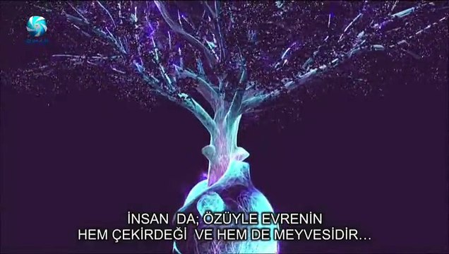 2 HAYAT AĞACI 13.Türkçe Olimpiyatı 2015 Belçika