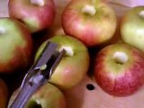 How to prepare Dried apple rings with dehydrator