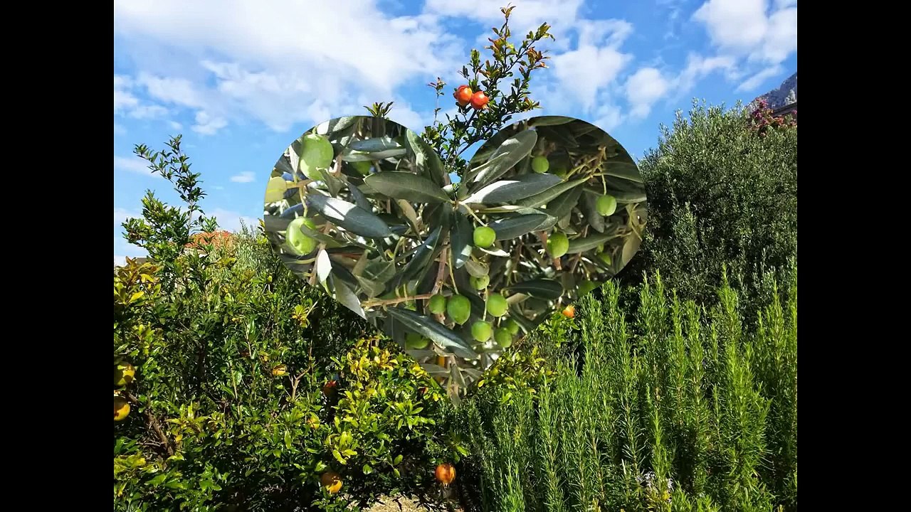 Chorvatsko Drvenik 2014