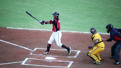 20150613 桃園 猿象   詹智堯