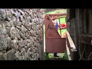 TV3 - Veterinaris - Veterinaris - capítol 119