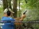 Gunblast.com - Ruger 77/357 Bolt-Action 357 Magnum/38 Special Rifle