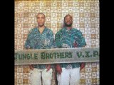 10 JBeez Rock The Dancehall Jungle Brothers