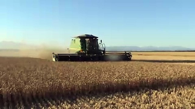 John Deere 9870 STS Combine - Harvesting High Yielding Feed Wheat