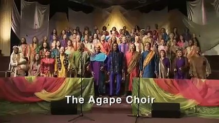 One Love - Song Around LA - Playing For Change