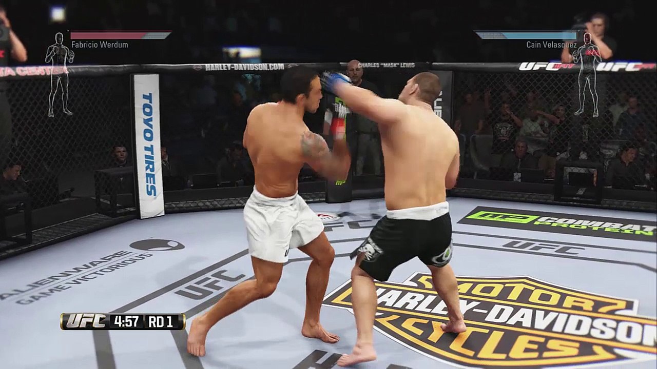 UFC 188 Werdum vs Velasquez