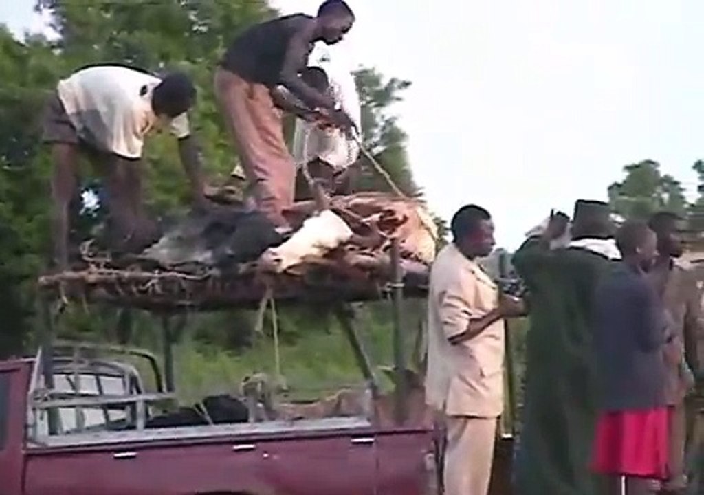 Baignade dans le niger