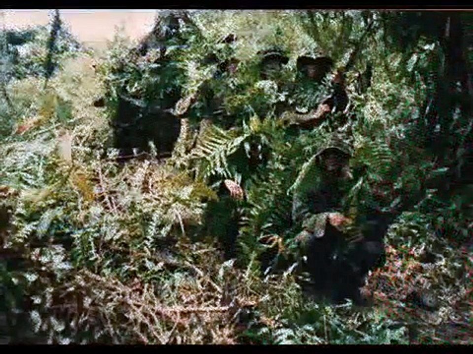 PNP SAF COMMANDO CL-12-96/SAF CL-2-95