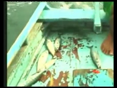 RİZE/FINDIKLI fındıklı palamutun gözüne vurduk(ilker)