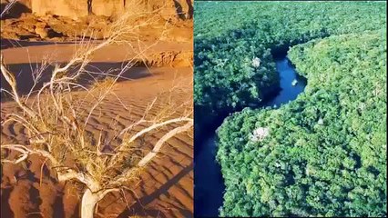 Royal Umhlanga Reed Dance Festival Virgins Ceramony Video