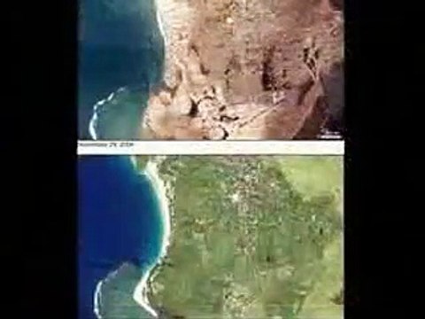 Mosques Miracle of Allah