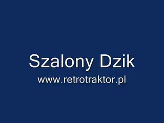 Szalony Dzik