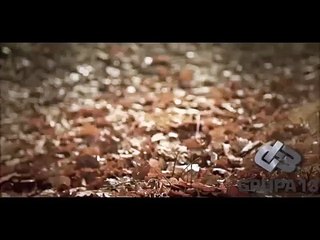 Eluveitie - A rose for Epona (Sub español)