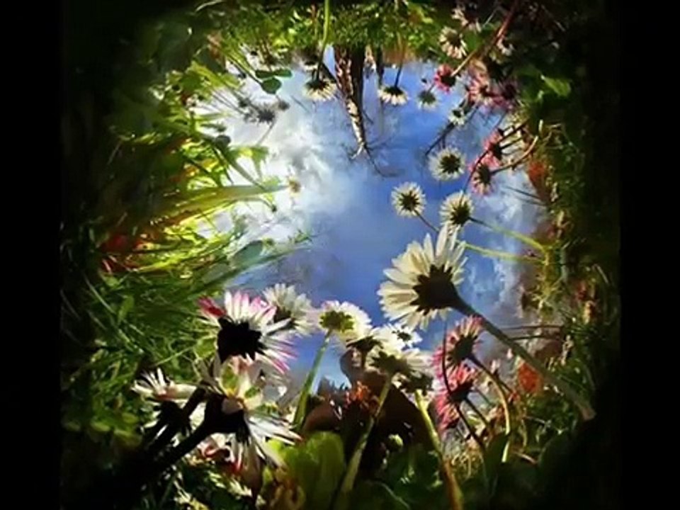 Aloha: A Spiritual Blessing