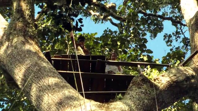 climbing on brazil nut tree