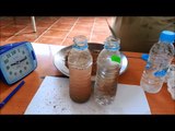تنقية المياه غير النقية بالمورينجا