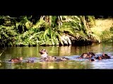 Adventure X Africa--Dead Men Don't Leave Tips