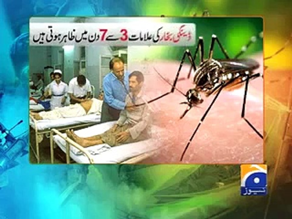 Dengue 1