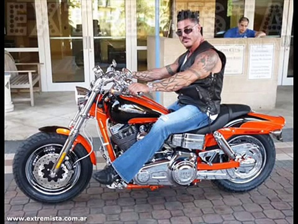 cancion de ricardo fort-ricardo fort-pitbull