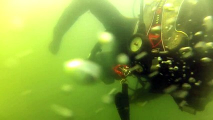 Scuba Boston Harbor - Grave's