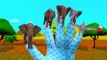 Finger Family Rhymes Elephant Sharks Godzilla Cartoons | Finger Family Nursery Rhymes for Children