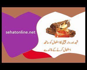 Honey with Cinnamon Benefits in Urdu