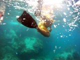 [GoPro] Snorkeling at Batu Malang - Pulau Tioman