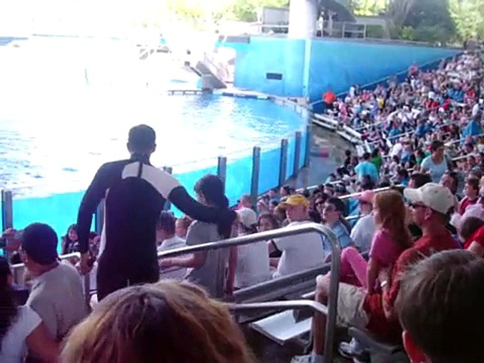 Nadia and Shamu