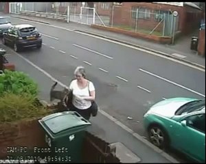 Cat Thrown into Trash Bin by Crazy Woman