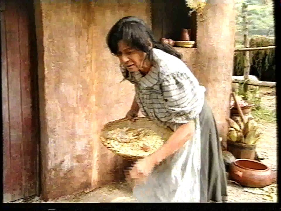 Luz Maria resumen1