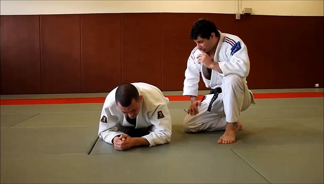 Attaque sur adversaire en défense quadrupédique - Clé de bras