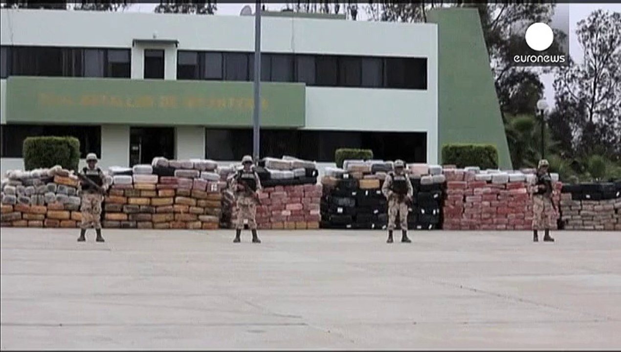 Mexiko: Über 40 Tonnen Marihuana sichergestellt