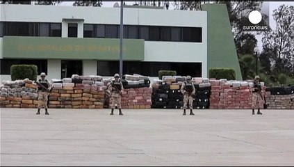 Mexico finds 42 ton stash of marijuana