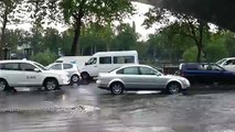 Crocodile in Tbilisi Georgia after Floods Animals escape Tbilisi Zoo