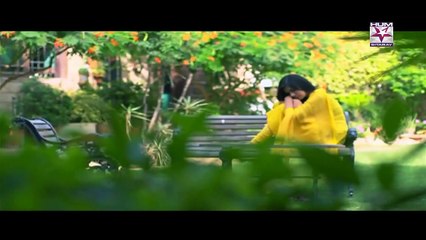 Shaher e Tamana OST Drama on Hum Sitaray (1)
