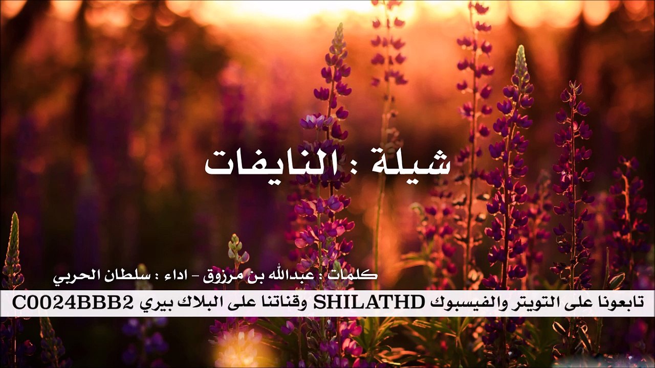 شيلة : النايفات - اداء سلطان الحربي | أصلي + مس...