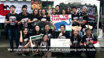 International March for Elephants , Bangkok Thailand (by AAA Thailand)