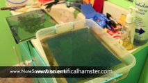 AMAZINGLY Simple way to Screen Print at Home!