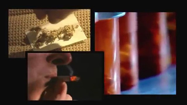 REAL LIFE DRUG STORY VIDEOS Drug Addiction Experiences/Teenage Drugs Stories