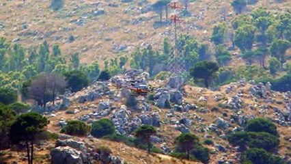 Pantera nera Palermo.m4v