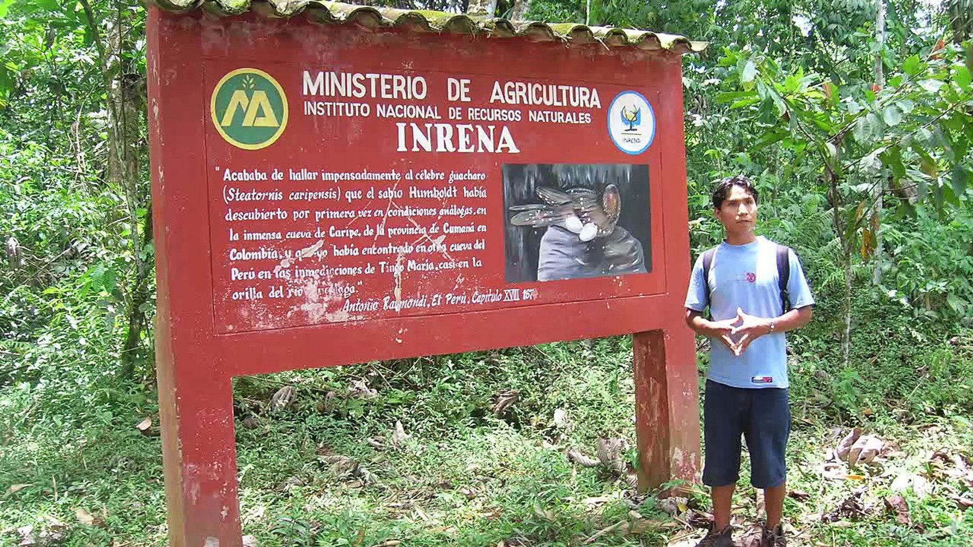 Tingo Maria Y La Bella Durmiente Video Dailymotion