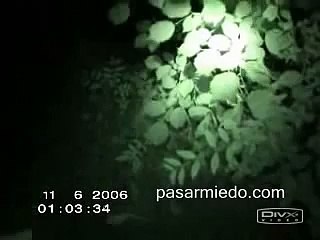 Criatura estranha na Floresta - Atormentador